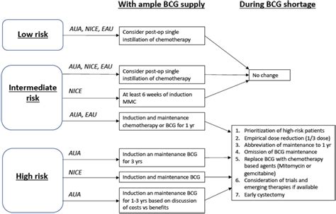 Treatment Algorithms For Adjuvant Intravesical Therapy According To