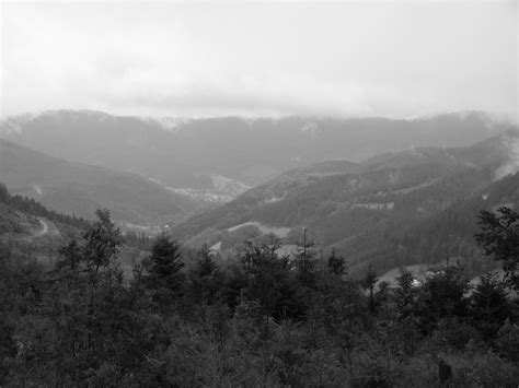 36 Spectacular Photos Of The Black Forest A Beautiful Wooded Mountain