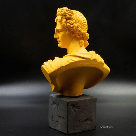 Greek Roman God Apollo Bust Statue Apollo Belvedere