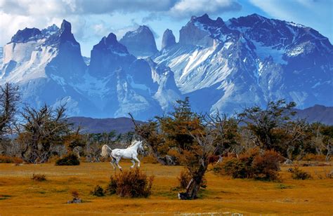 Chasing Unicorn Chile Travel Adventure Tourism Torres Del Paine