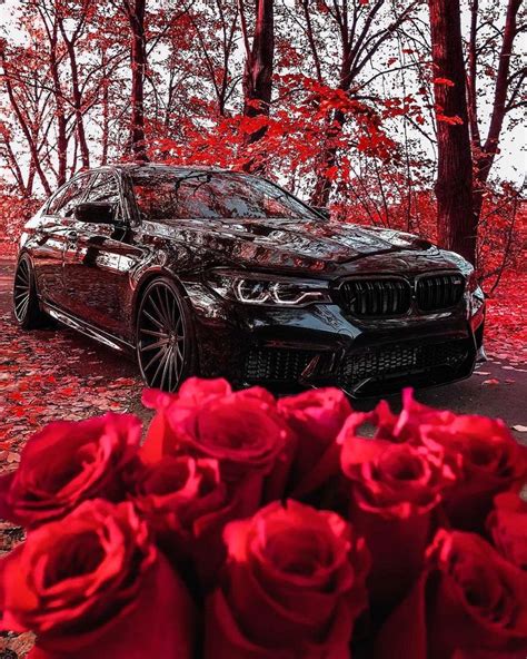 Image May Contain Flower Tree Car And Outdoor Bmw Bmw Love Best