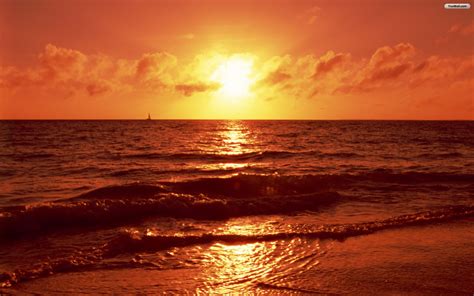 Free Sunset Screensavers And Wallpaper Wallpapersafari