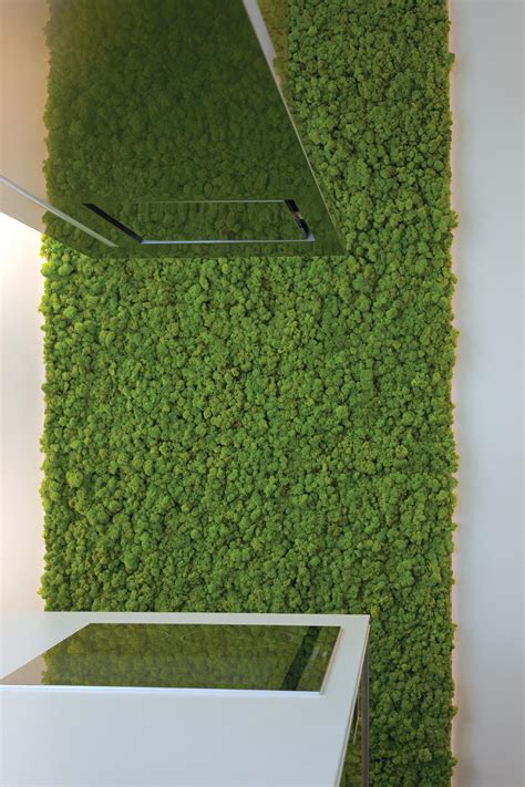 Moss Wall Living Green Walls From Verde Profilo