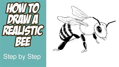 How To Draw A Realistic Bee Youtube