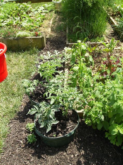 The Rusted Vegetable Garden