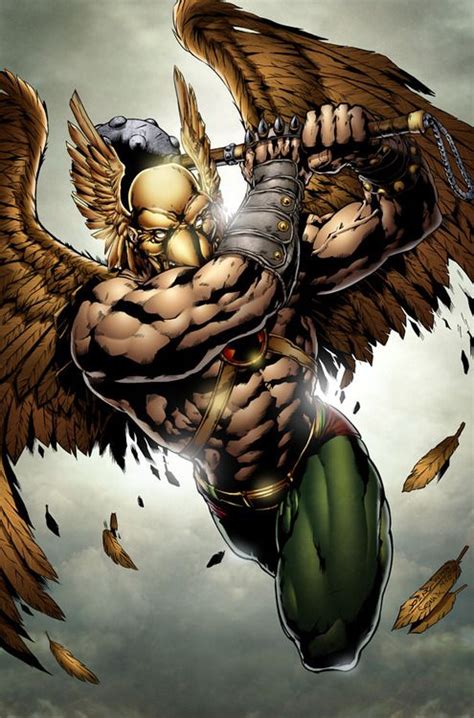 New 52 Hawkman Flash Comics Hawkman Dc Comics