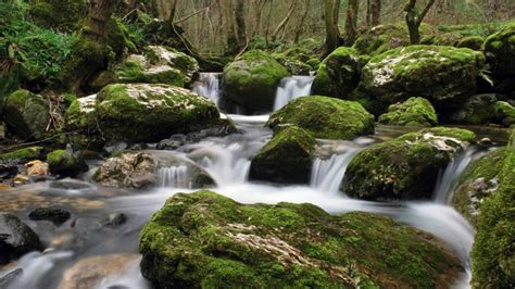 River Nature Landscape Water Waterfall Long Exposure Rock Moss