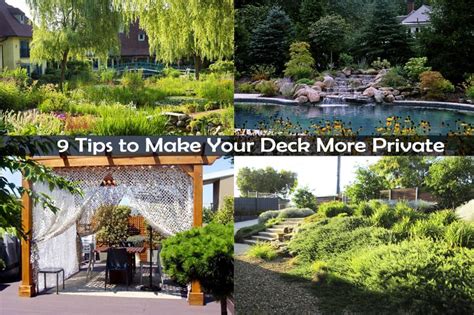 Check for rotting posts or dry rot on your joists. 9 Tips to Make Your Deck More Private