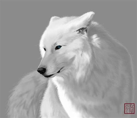 Anime Female White Arctic Wolf Wolves