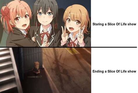 Slice Of Life Anime In A Nutshell Ranimemes