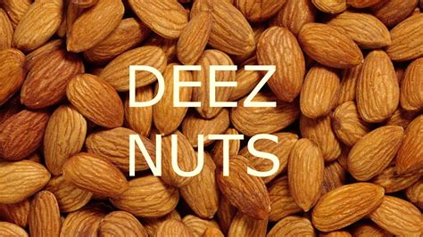 Deez Nuts Remix Youtube