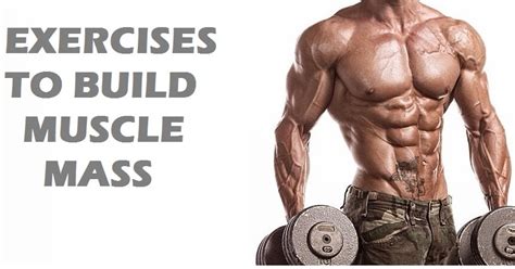 Muscle Palace Best Exercises To Build Muscle Mass Fast
