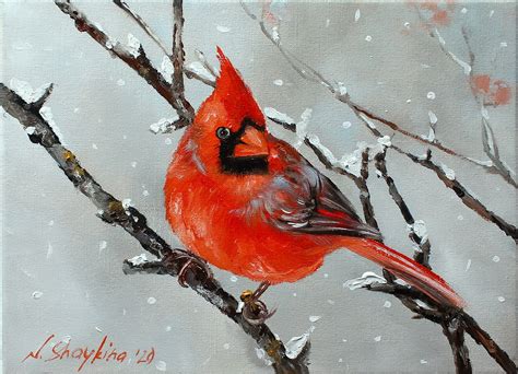 Christmas Bird Cardinal Oil Painting On Canvas Cardinal Red Etsy