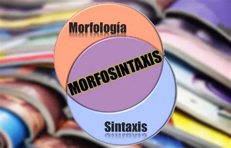 Que Es La Morfosintaxis