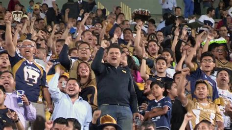 ¡vamos Pumas Por La Semifinal Youtube