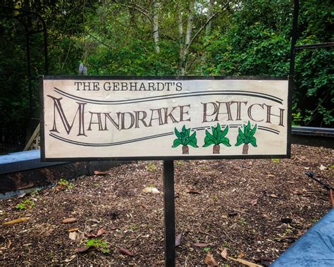 Custom Mandrake Garden Sign Etsy