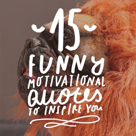 15 Funny Motivational Quotes To Inspire You Bright Drops