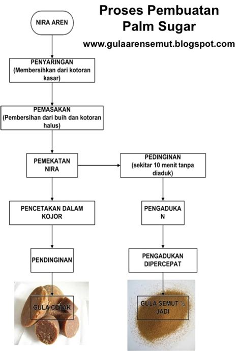 Proses Dan Tahapan Pembuatan Gula Aren Semut Cetak Gula Aren Semut My