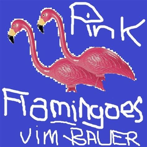 Nobody falls in love with a wise man. Jim Bauer - Pink Flamingoes by Porwest | Free Listening on SoundCloud