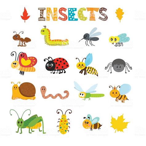 Vector Set Of Cartoon Insects Colorful Bugs Collection