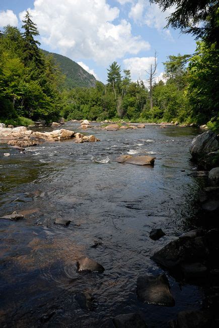 New York Adirondack And Western New York Fly Fishing Photography Fly