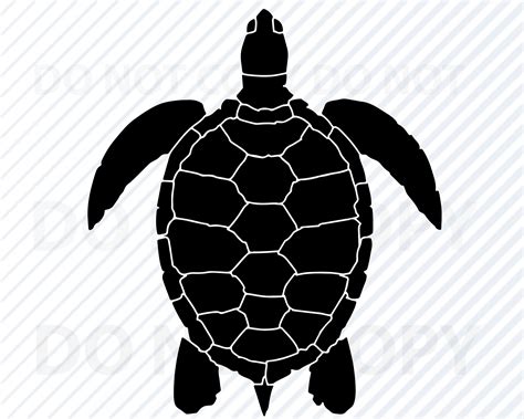 Sea Turtle Svg Tortoise Design Vector Images Silhouette Clip Etsy