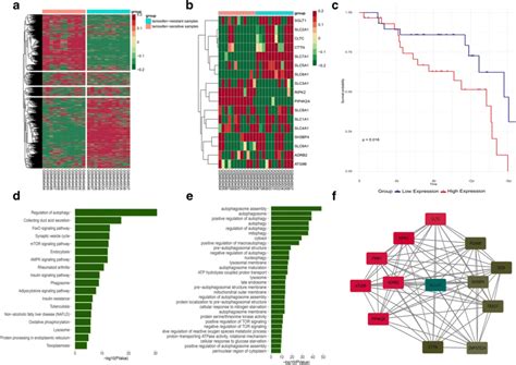Gene Expression Profiling In Er Positive Breast Cancer A Hierarchical
