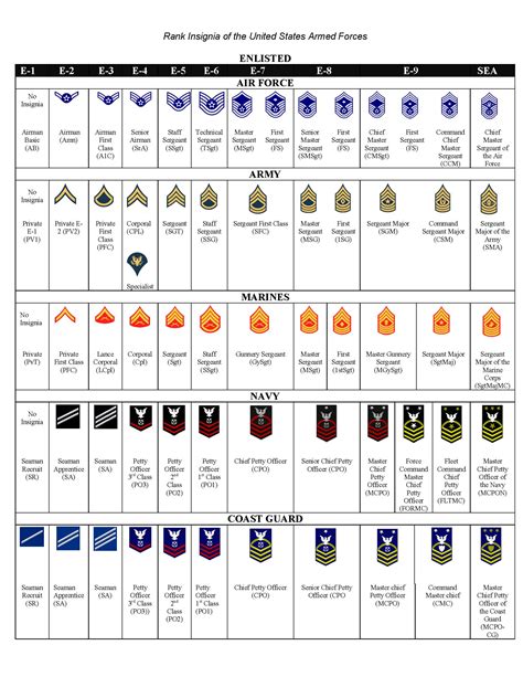 United States Us Army Rank Chart Reference Enlisted Officer Nco Guide