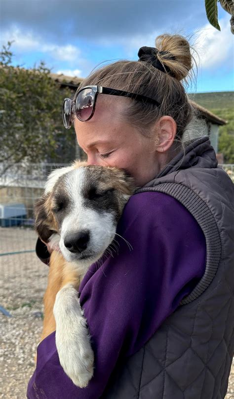 Maia Healing Paws Animal Rescue