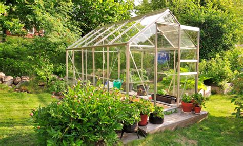The 50 Best Greenhouse Plants To Grow Each Year Livehealthnews