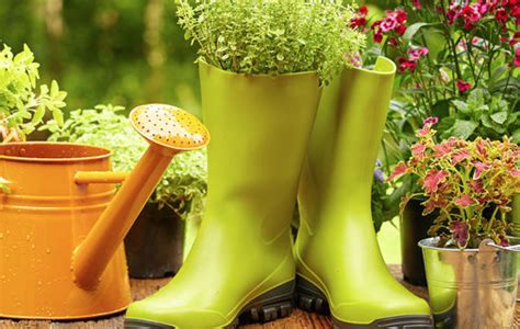Container Gardening For Beginners Living Well Spending Less