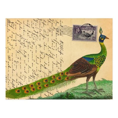 Vintage Peacock Letter With Stamp And Postmark Postcard Zazzle