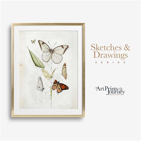 Antique Butterfly Wall Art Printable Trendy Butterfly Etsy