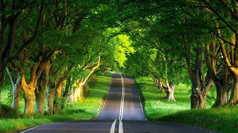 A Highway Road In Bangladesh Nature Desktop Wallpaper Nature