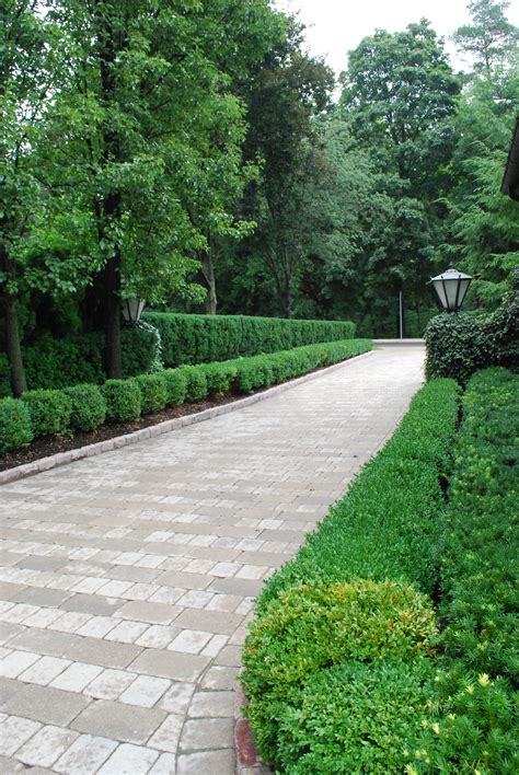 It is bordered on one side by a seven foot median that separates our drive from the neighbors, which contains a row of crapemyrtles in a bed of asiatic jasmine groundcover. love this drive | Driveway landscaping, Driveway design ...