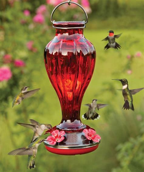 Phenomenal Make Your Own Hummingbird Feeder With 25 Our Best Ideas 191