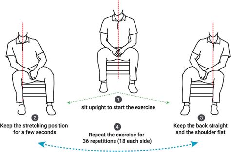 Healthsit Facilitate A Lower Back Stretching Exercise That Is Adapted
