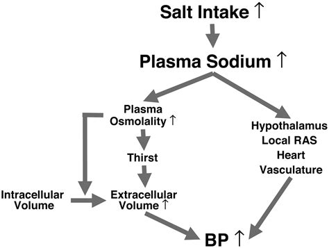 Plasma Sodium Hypertension