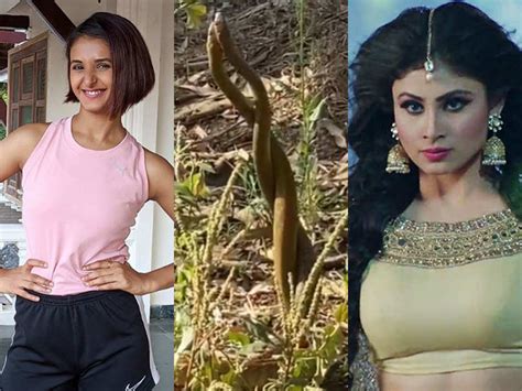 Shakti Mohan Shares Video Of Snakes Fighting And Asks Naagin Mouni