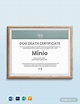 FREE 4+ Useful Sample Death Certificate Templates in PDF | MS Word | PSD
