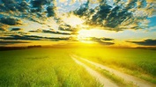 Sunshine Wallpapers - Top Free Sunshine Backgrounds - WallpaperAccess