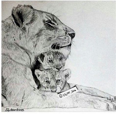 Beautiful Sketch Of Lioness And Her Cubs I Would Put 3 Or Maybe 4 Cubs