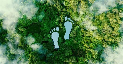 Ecological Footprint And Carbon Footprint Fit For 55