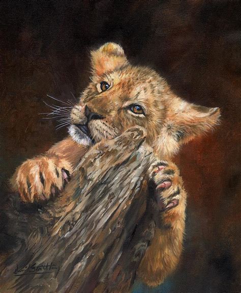 Lion Cub Painting By David Stribbling Pixels