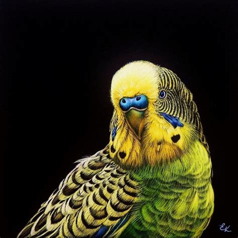 Green Budgerigar Digital Art Print Budgie Portrait Printable Etsy