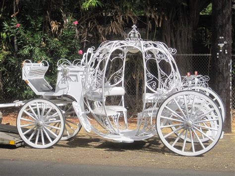 White Horse Carriage For Wedding And Park Rides Waikiki Horse And