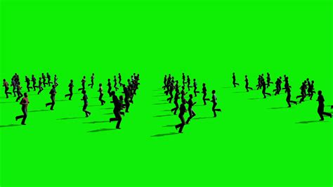 Crowd People Walking On Green Screen 3d Rendering Animation Motion