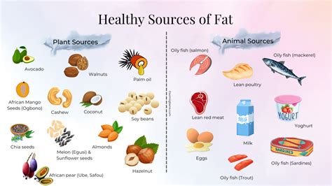 Dietary Fat Functions Requirements And Healthy Sources The