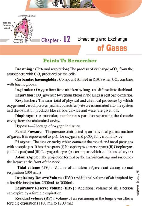 Cbse Notes Class Biology Breathing And Exchange Of Gases