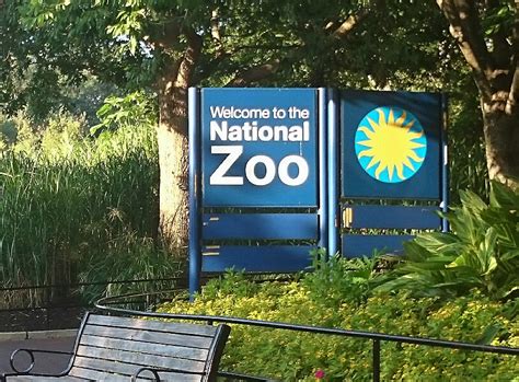 National Zoo Attraction Closed Due To E Coli Scare Wtop